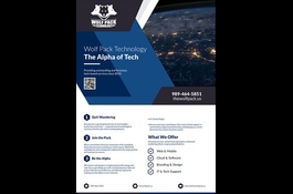 Flyer Design Services by Design Alligators